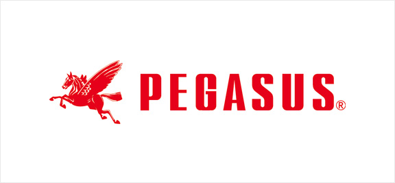 PEGASUS.jpg